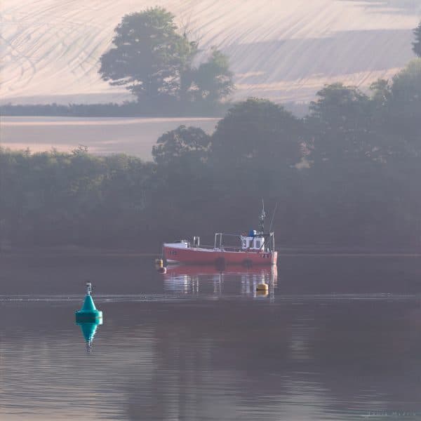 After the Harvest - Penryn River