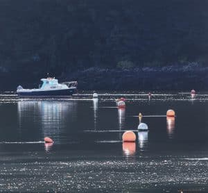 Incoming Tide - Restronguet Creek