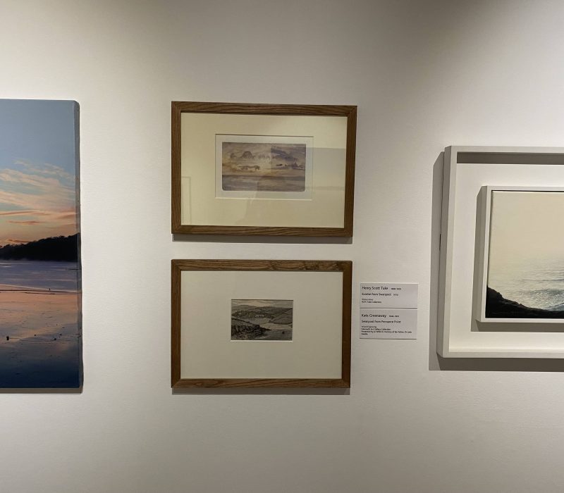 Corner gallery wall with framed marine studies by artist Jamie Medlin
