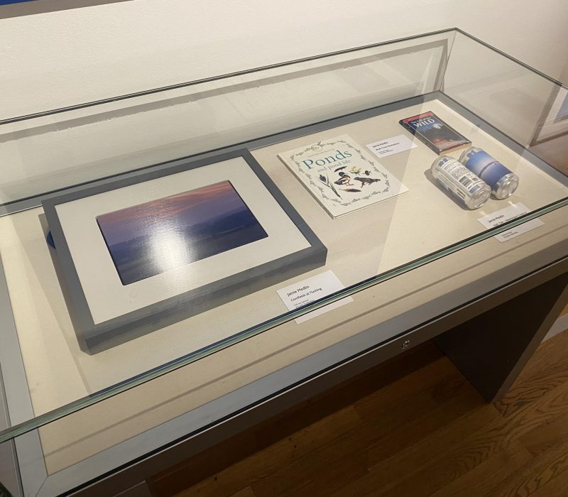 Display case of sketchbooks and studies at a Jamie Medlin exhibition