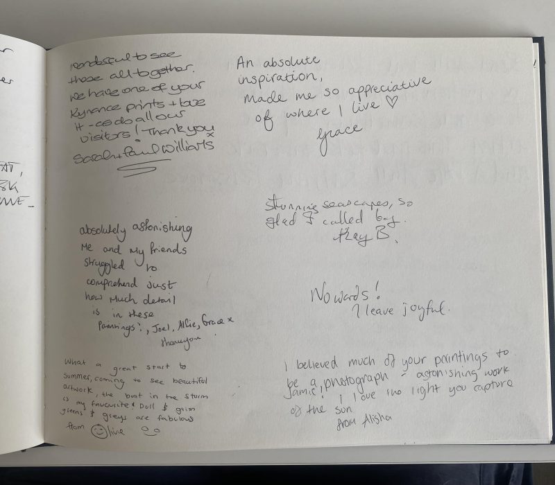 Exhibition guestbook page with visitor comments on Jamie Medlin's paintings