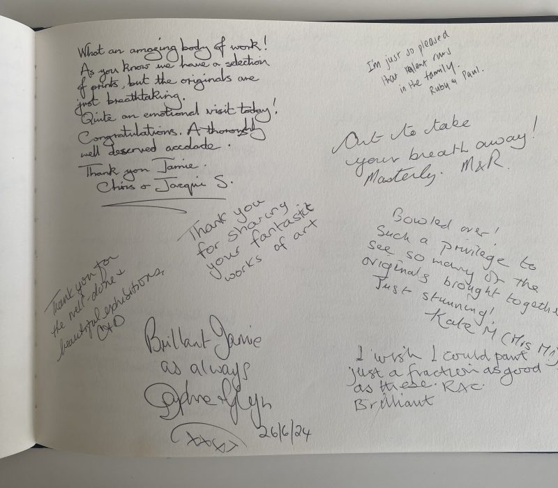 Guestbook page of visitor messages from a Jamie Medlin marine art exhibition