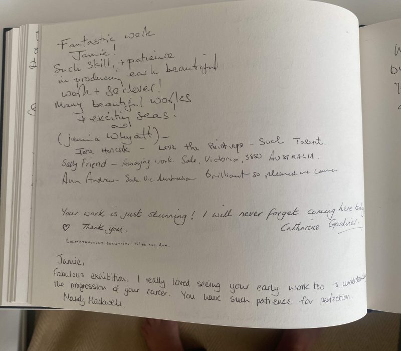 Handwritten visitor comments in the guestbook at a Jamie Medlin exhibition